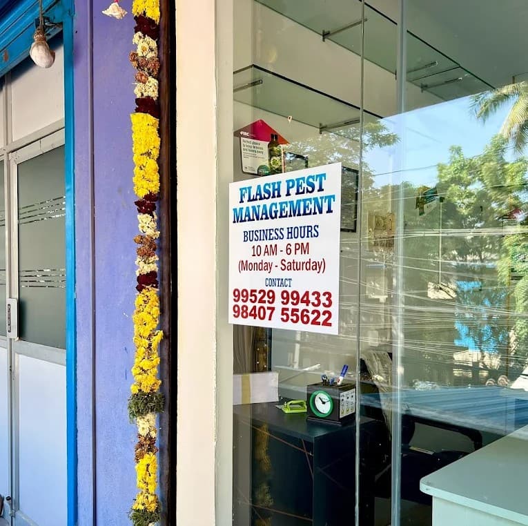 Chennai’s Trusted Pest Control Experts