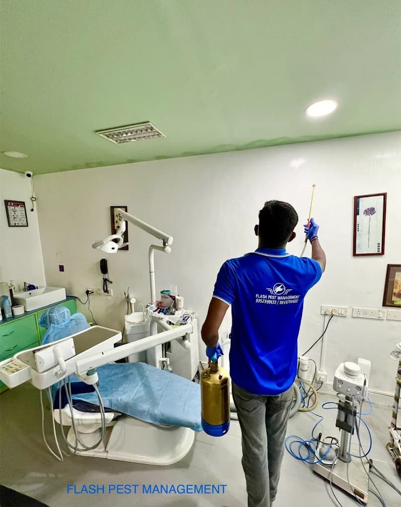 Chennai’s Trusted Pest Control Experts