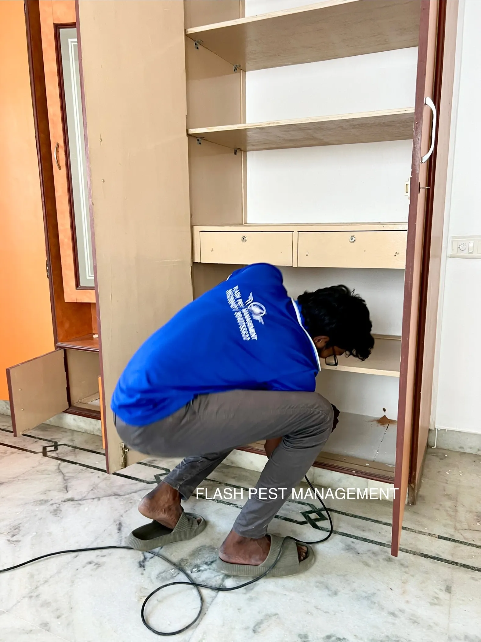 termites effect on house